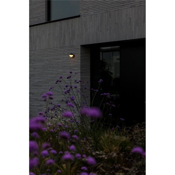 Luminária de parede externa LOOMA LED em formato de globo com luz giratória de 270°, 7,8 W, 1150 lúmens, 3000 K