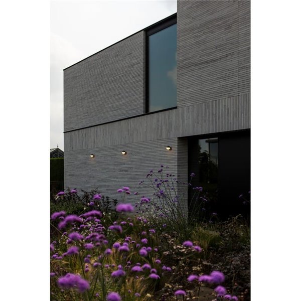 Lámpara de pared LED exterior en forma de globo LOOMA, con luz giro 270º, 7,8W 1150Lm, 3000K