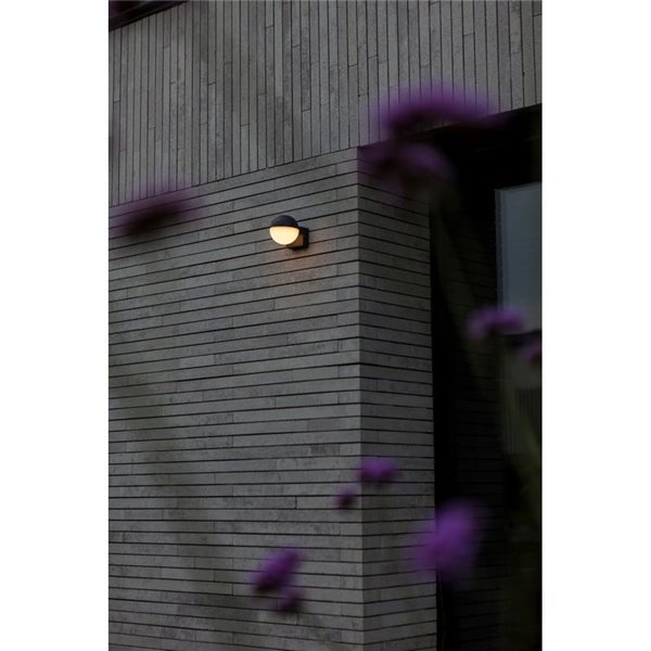 Lámpara de pared LED exterior en forma de globo LOOMA, con luz giro 270º, 7,8W 1150Lm, 3000K