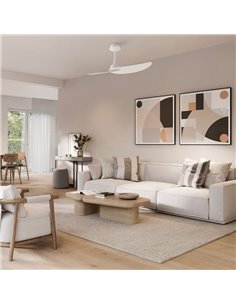 Ventilador de teto sem luz, 2 pás 32W IPANEMA, Ø106cm branco, com controle remoto 2