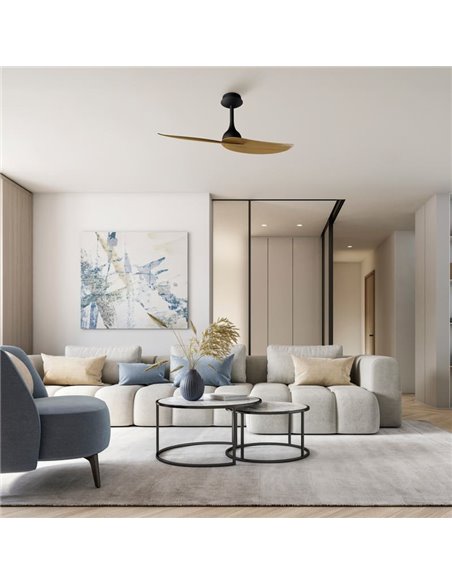 Ventilateur de plafond sans lumière, 32W IPANEMA, Ø106cm noir et 2 pales en bois, avec télécommande