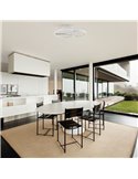 Ventilador de techo con luz LED blanco NEPAL II, 32W dimmable, 2700K-4000K-5000K, Ø 75cm