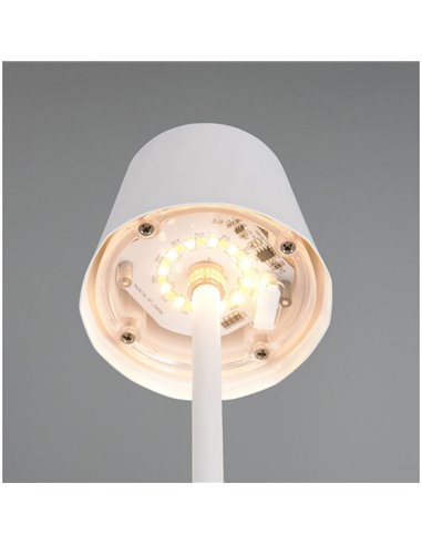 DIAZ USB-C Lâmpada de mesa LED recarregável Luz regulável 1,6 W 160lm 2700 - 6500 K IP44