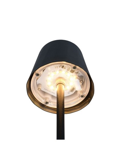 DIAZ USB-C Lâmpada de mesa LED recarregável Luz regulável 1,6 W 160lm 2700 - 6500 K IP44