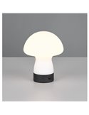 Lámpara de sobremesa LED con interruptor táctil y recargable USB DOOLEY 1,5W 140lm 3000K IP20