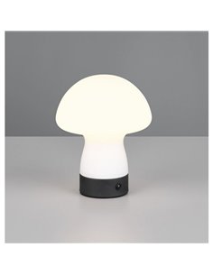 Lámpara de sobremesa LED con interruptor táctil y recargable USB DOOLEY 1,5W 140lm 3000K IP20 2