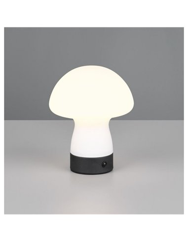 Lampe de table LED tactile rechargeable USB DOOLEY 1,5 W 140 lm 3 000 K IP20