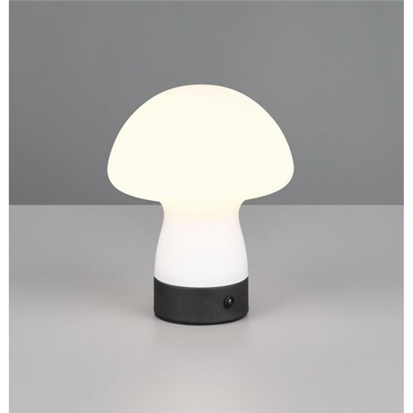 Lampe de table LED tactile rechargeable USB DOOLEY 1,5 W 140 lm 3 000 K IP20