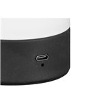 Lámpara de sobremesa LED con interruptor táctil y recargable USB DOOLEY 1,5W 140lm 3000K IP20