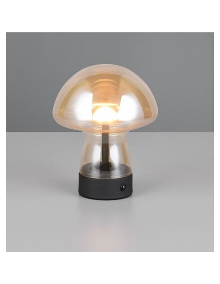 Lampe de table LED à chargement USB DOOLEY avec interrupteur à 3 intensités 1,5 W 140 lm 3000 K IP20