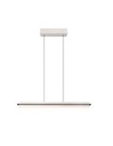 Lámpara de techo LED altura ajustable EMERSON regulable 22W 2700-5000K IP20