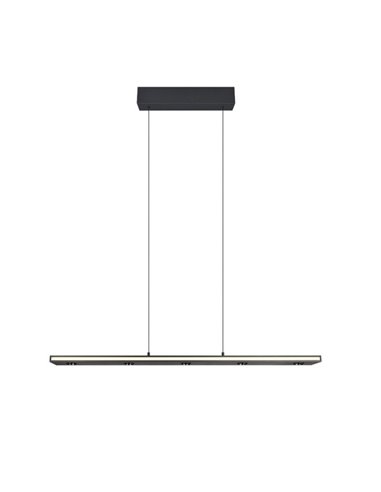 Suspension LED dimmable GRAHAM avec fonction mémoire et hauteur réglable 10/4,5W 480Lm/920Lm IP20