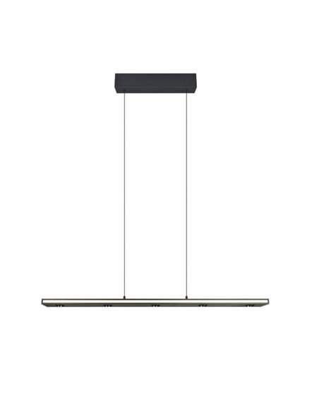 Lámpara colgante LED regulable GRAHAM función memoria y altura ajustable 10/4,5W 480Lm/920Lm IP20