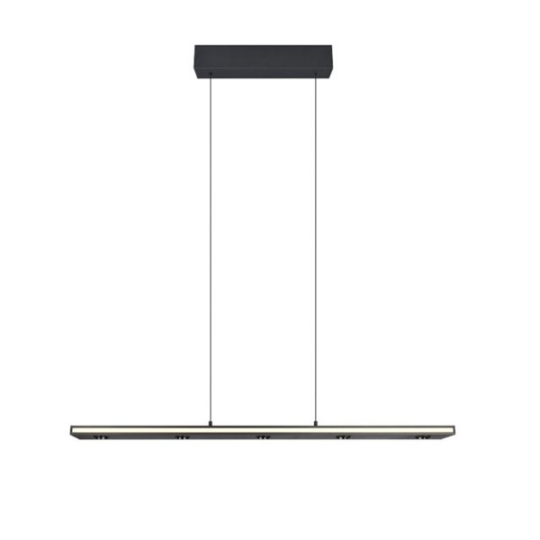 Lámpara colgante LED regulable GRAHAM función memoria y altura ajustable 10/4,5W 480Lm/920Lm IP20