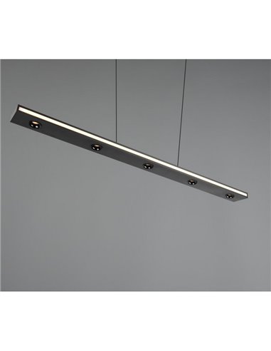 Lámpara colgante LED regulable GRAHAM función memoria y altura ajustable 10/4,5W 480Lm/920Lm IP20