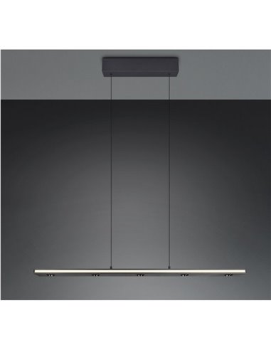 Lámpara colgante LED regulable GRAHAM función memoria y altura ajustable 10/4,5W 480Lm/920Lm IP20
