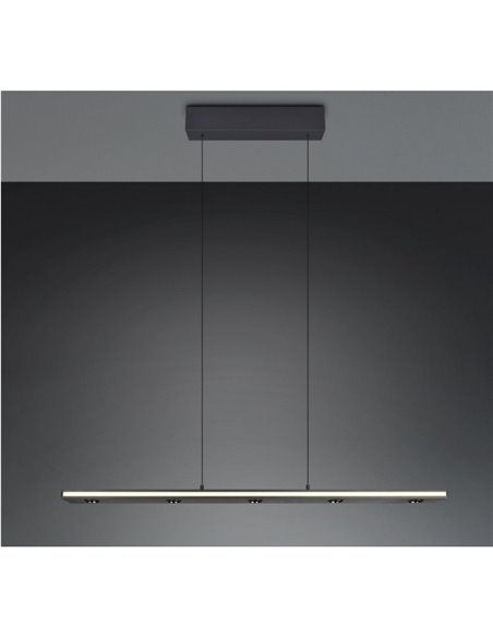 Lámpara colgante LED regulable GRAHAM función memoria y altura ajustable 10/4,5W 480Lm/920Lm IP20