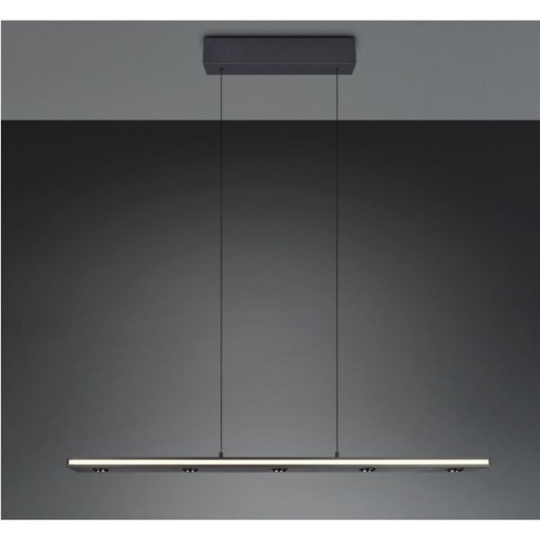 Lámpara colgante LED regulable GRAHAM función memoria y altura ajustable 10/4,5W 480Lm/920Lm IP20