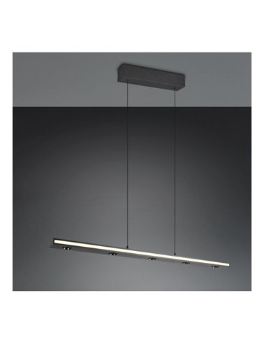 Lámpara colgante LED regulable GRAHAM función memoria y altura ajustable 10/4,5W 480Lm/920Lm IP20