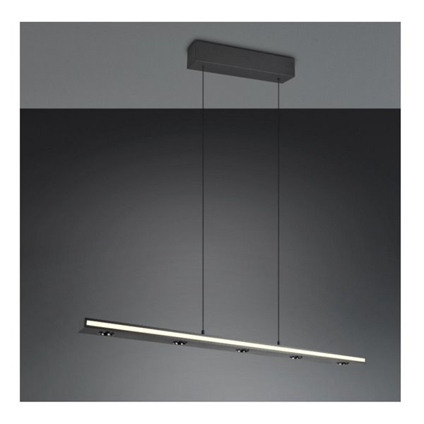 Lámpara colgante LED regulable GRAHAM función memoria y altura ajustable 10/4,5W 480Lm/920Lm IP20
