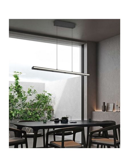 Lámpara de techo LED regulable GRAHAM con memoria y altura ajustable 10/4,5W 480Lm/920Lm IP20
