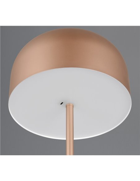 Luminária de chão LED estilo cogumelo JEFF com função de toque e bateria recarregável USB 2,5 W 1x 250 lm, 3000 K IP20 marrom