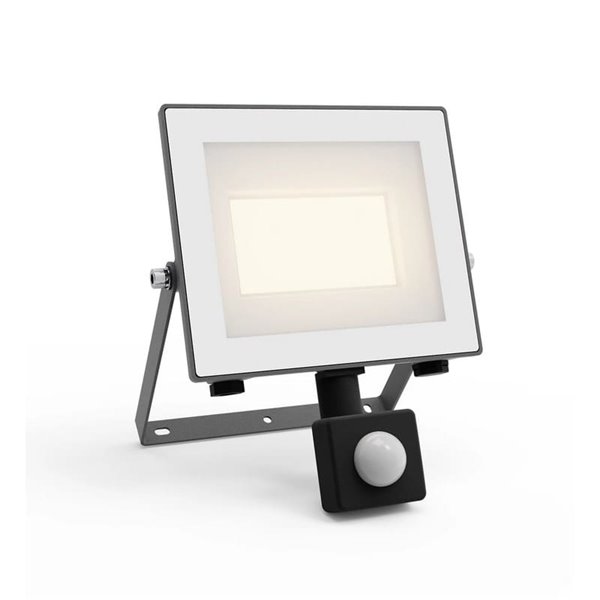 Projecteur à détecteur de mouvement ultra-efficace LOIS, 14 W 3 000 K/5 000 K 2 600 lm/2 650 lm
