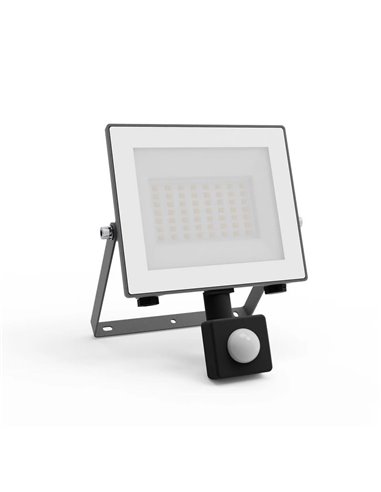 Projecteur à détecteur de mouvement ultra-efficace LOIS, 14 W 3 000 K/5 000 K 2 600 lm/2 650 lm