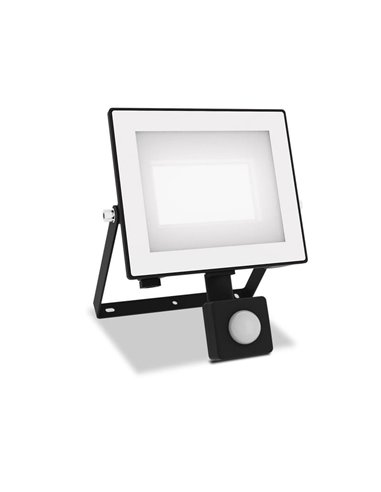 Projecteur extérieur avec détecteur de mouvement LOIS 30 W, 3 000 K/5 000 K, 3 200 lm