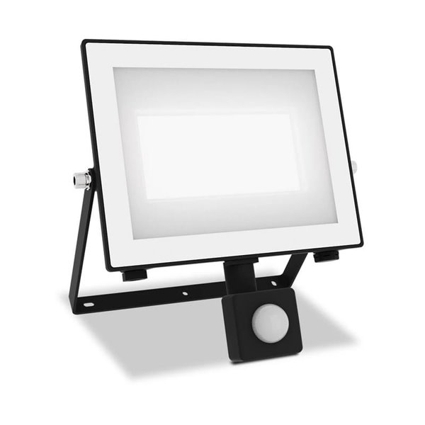 Projecteur extérieur avec détecteur de mouvement LOIS 50 W, 3 000 K/5 000 K, 3 200 lm