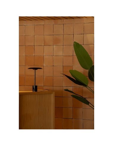 Lámpara de sobremesa LED HOSHI, forma de seta, 12W 2700K, varios colores