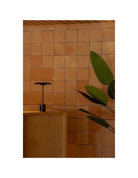 Lampe de table LED HOSHI en forme de champignon 12 W 2700 K multicolore