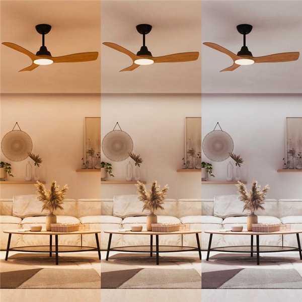 Ventilateur de plafond LED OLAS, dimmable, 42" 30W+24W noir avec larges pales en bois, avec télécommande