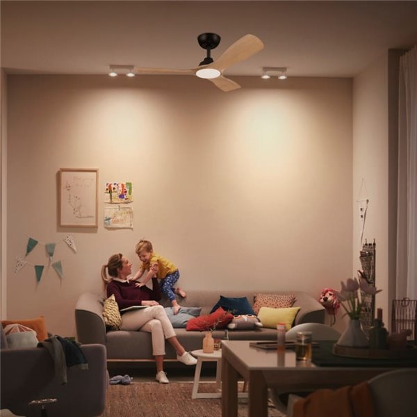 Ventilateur de plafond LED OLAS, dimmable, 42" 30W+24W noir avec larges pales en bois, avec télécommande