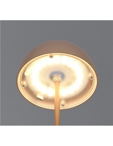 Lámpara LED de sobremesa moderna ORTIZ recargable con USB y regulable 2W 150lm, 3000K IP20
