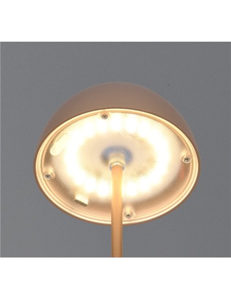 Lámpara LED de sobremesa moderna ORTIZ recargable con USB y regulable 2W 150lm, 3000K IP20