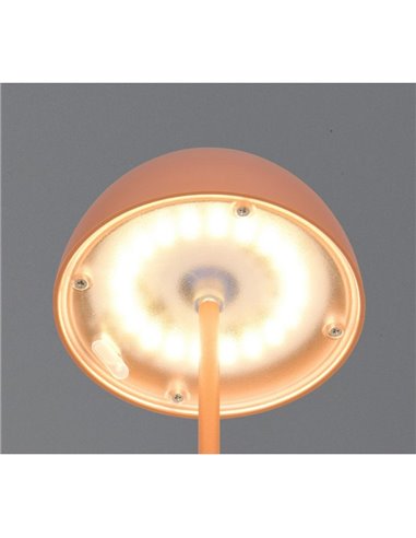 Lámpara LED de sobremesa regulable ORTIZ recargable con USB y regulable 2W 150lm, 3000K IP20