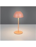Lámpara LED de sobremesa regulable ORTIZ recargable con USB y regulable 2W 150lm, 3000K IP20
