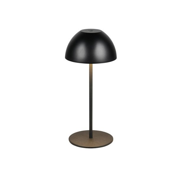 Lámpara LED de sobremesa con batería recargable USB ORTIZ regulable 2W 150lm, 3000K IP20