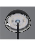 Lámpara LED de sobremesa con batería recargable USB ORTIZ regulable 2W 150lm, 3000K IP20
