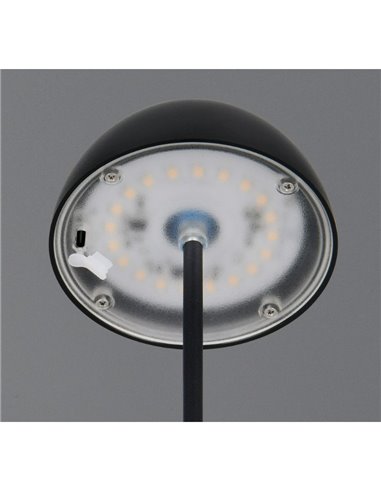 Candeeiro de mesa LED ORTIZ com bateria recarregável USB, regulável, 2W, 150lm, 3000K, IP20