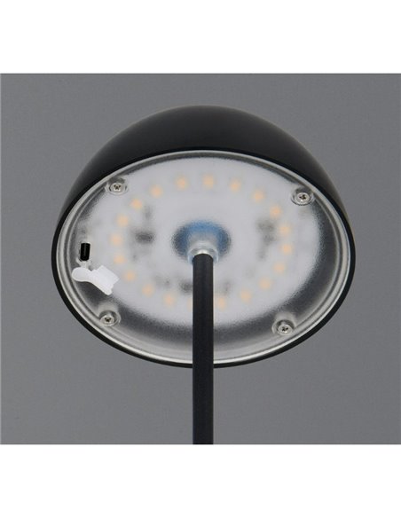 Lámpara LED de sobremesa con batería recargable USB ORTIZ regulable 2W 150lm, 3000K IP20