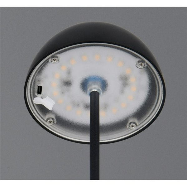 Lámpara LED de sobremesa con batería recargable USB ORTIZ regulable 2W 150lm, 3000K IP20