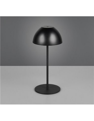 Lámpara LED de sobremesa con batería recargable USB ORTIZ regulable 2W 150lm, 3000K IP20