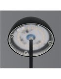 Lámpara LED de sobremesa con batería recargable USB ORTIZ regulable 2W 150lm, 3000K IP20