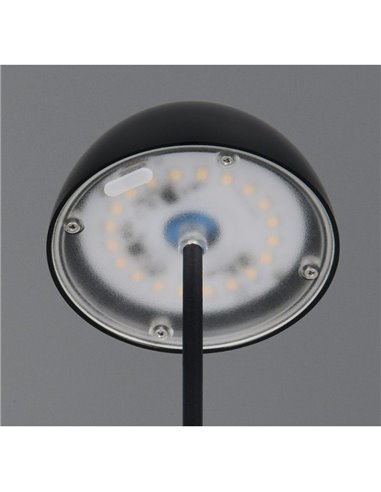Lámpara LED de sobremesa con batería recargable USB ORTIZ regulable 2W 150lm, 3000K IP20