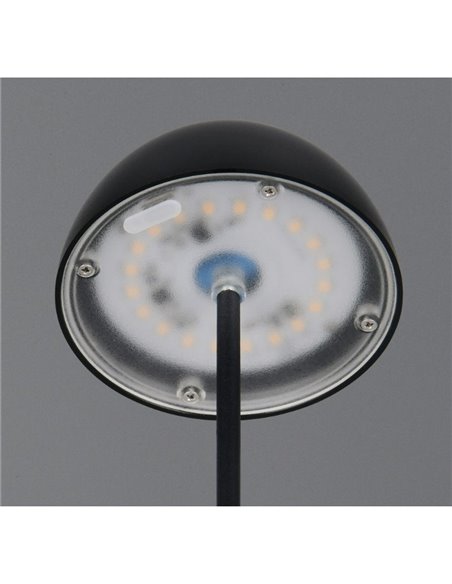 Lámpara LED de sobremesa con batería recargable USB ORTIZ regulable 2W 150lm, 3000K IP20