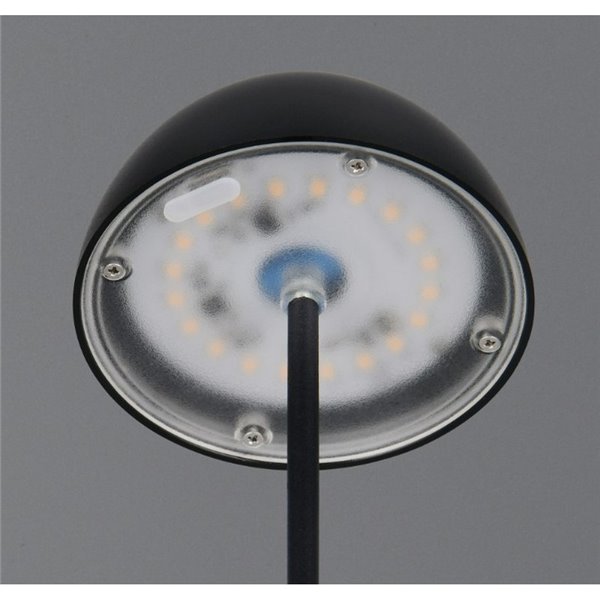 Lámpara LED de sobremesa con batería recargable USB ORTIZ regulable 2W 150lm, 3000K IP20