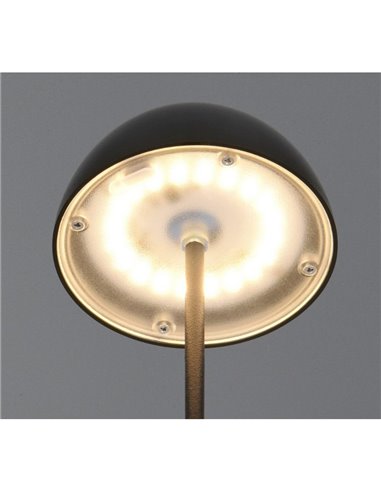 Lámpara LED de sobremesa con batería recargable USB ORTIZ regulable 2W 150lm, 3000K IP20