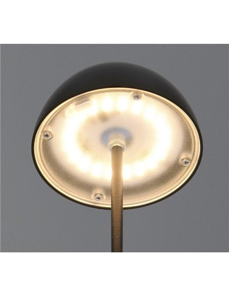 Lámpara LED de sobremesa con batería recargable USB ORTIZ regulable 2W 150lm, 3000K IP20